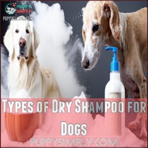 Types of Dry Shampoo for Dogs
