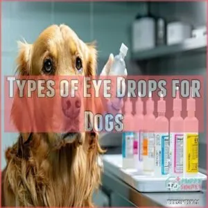 Types of Eye Drops for Dogs