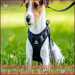 Underbody Protection and Compression Features