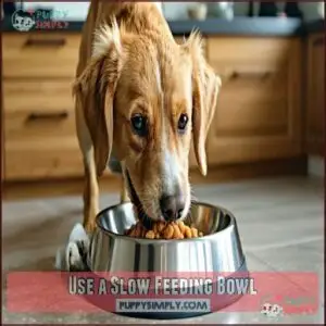 Use a Slow Feeding Bowl