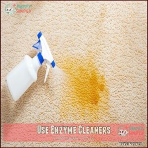 Use Enzyme Cleaners