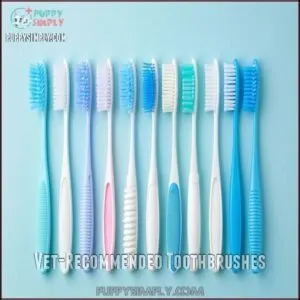 Vet-Recommended Toothbrushes