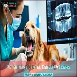 Veterinary Dental Care and Exams