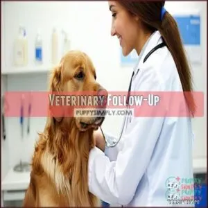 Veterinary Follow-Up