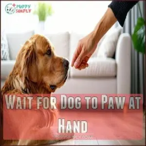 Wait for Dog to Paw at Hand