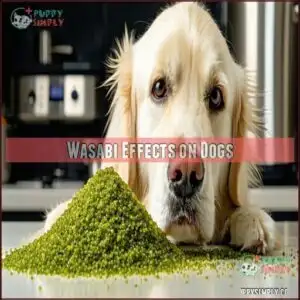 Wasabi Effects on Dogs