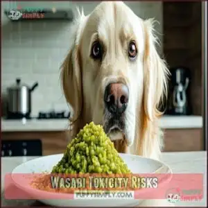 Wasabi Toxicity Risks