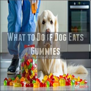 what to do if dog eats gummies
