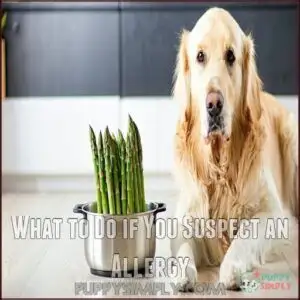 What to Do if You Suspect an Allergy