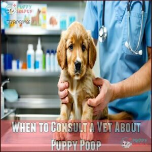 When to Consult a Vet About Puppy Poop