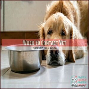 When to Contact Vet
