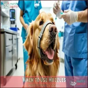 When to Use Muzzles