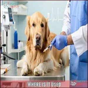 Where is It Used