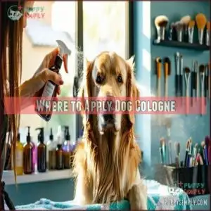 Where to Apply Dog Cologne