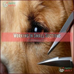 Working in Small Sections
