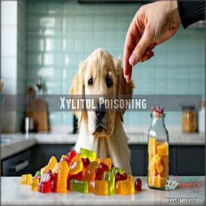 xylitol poisoning