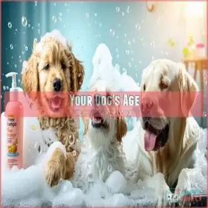 Your Dog's Age