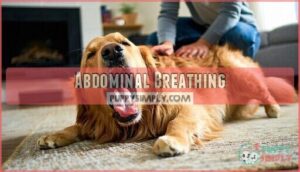 abdominal breathing