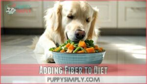 adding fiber to diet