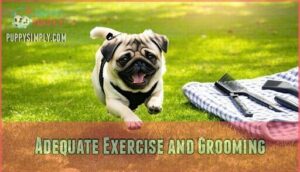 adequate exercise and grooming