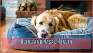 aging and nasal health