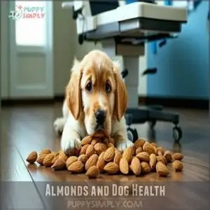 almonds and dog health