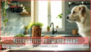 alternatives to canned beans