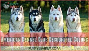 american kennel club recognized colors
