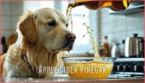 apple cider vinegar
