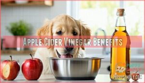 apple cider vinegar benefits