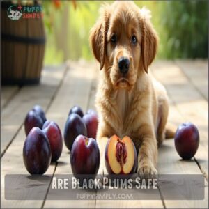 are black plums safe