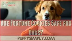 are fortune cookies safe for dogs