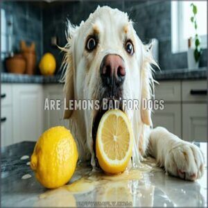 are lemons bad for dogs
