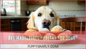 are madeleines healthy for dogs