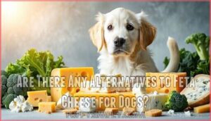 are there any alternatives to feta cheese for dogs