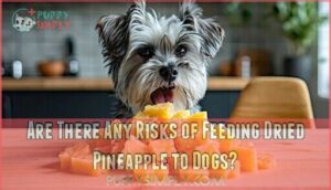are there any risks of feeding dried pineapple to dogs