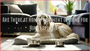 are there at home treatment options for hip dysplasia