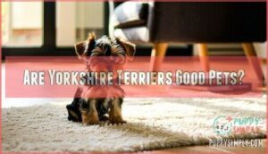 are yorkshire terriers good pets