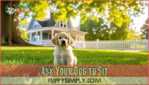ask your dog to sit