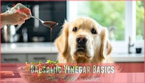 balsamic vinegar basics