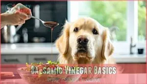 balsamic vinegar basics