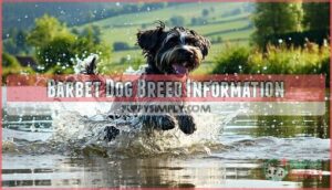 barbet dog breed information