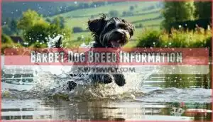 barbet dog breed information