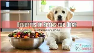 benefits of beans for dogs