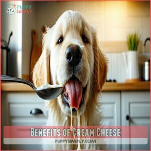 benefits of cream cheese