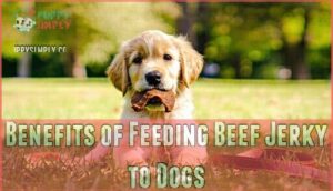 benefits of feeding beef jerky to dogs