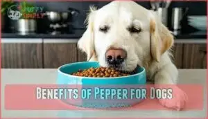 benefits of pepper for dogs