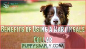 benefits of using a martingale collar
