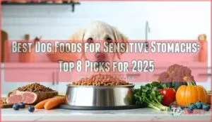 best dog foods for sensitive stomachs