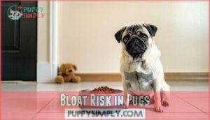 bloat risk in pugs